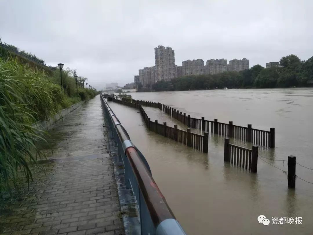 景德鎮暴雨來襲，城市如何應對雨水挑戰的最新消息